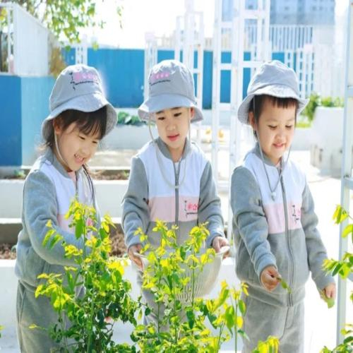 Phương Pháp Giáo Dục Trải Nghiệm Tại Sakura Montessori Và The Dewey Schools
